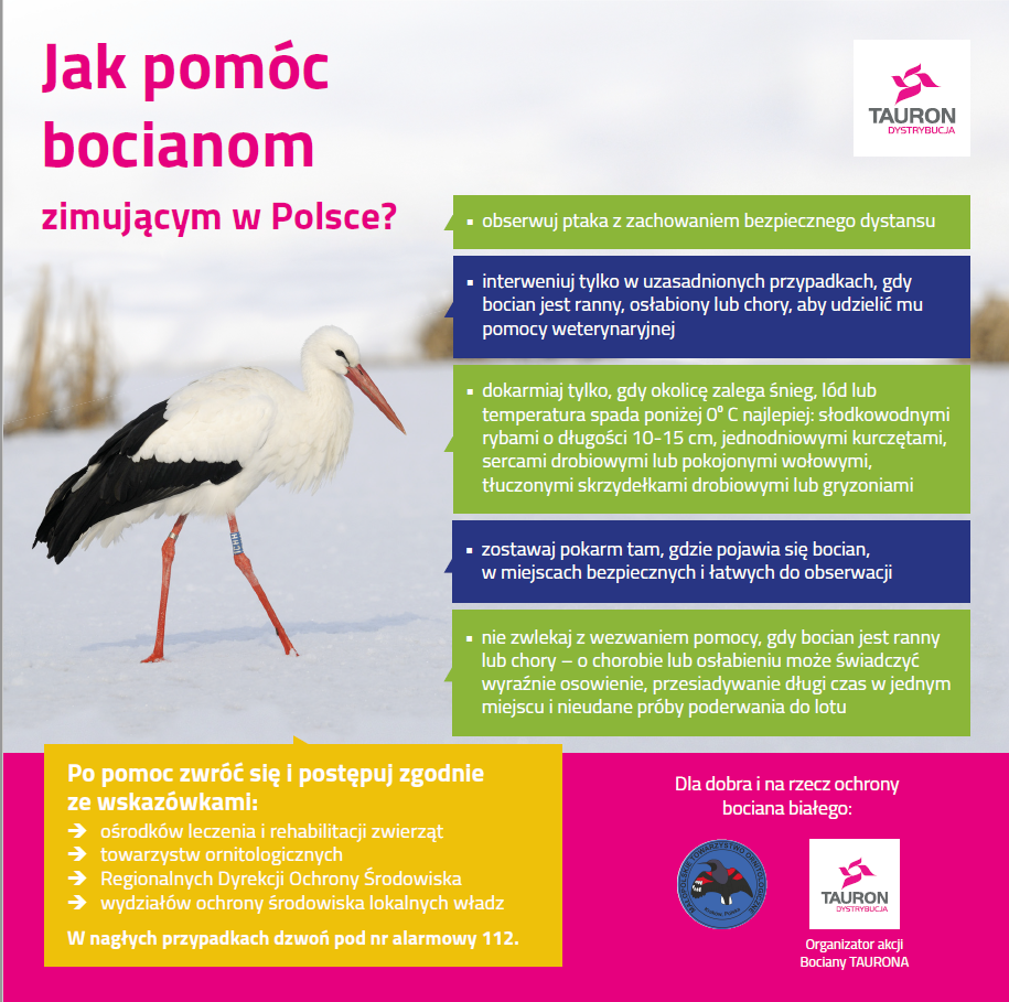 Infografika promująca akcję 