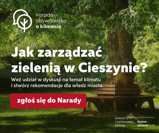 Grafika promująca Naradę Obywatelską o Klimacie, przedstawia dwie drewniane ławki stojące na trawniku pod dużym drzewem
