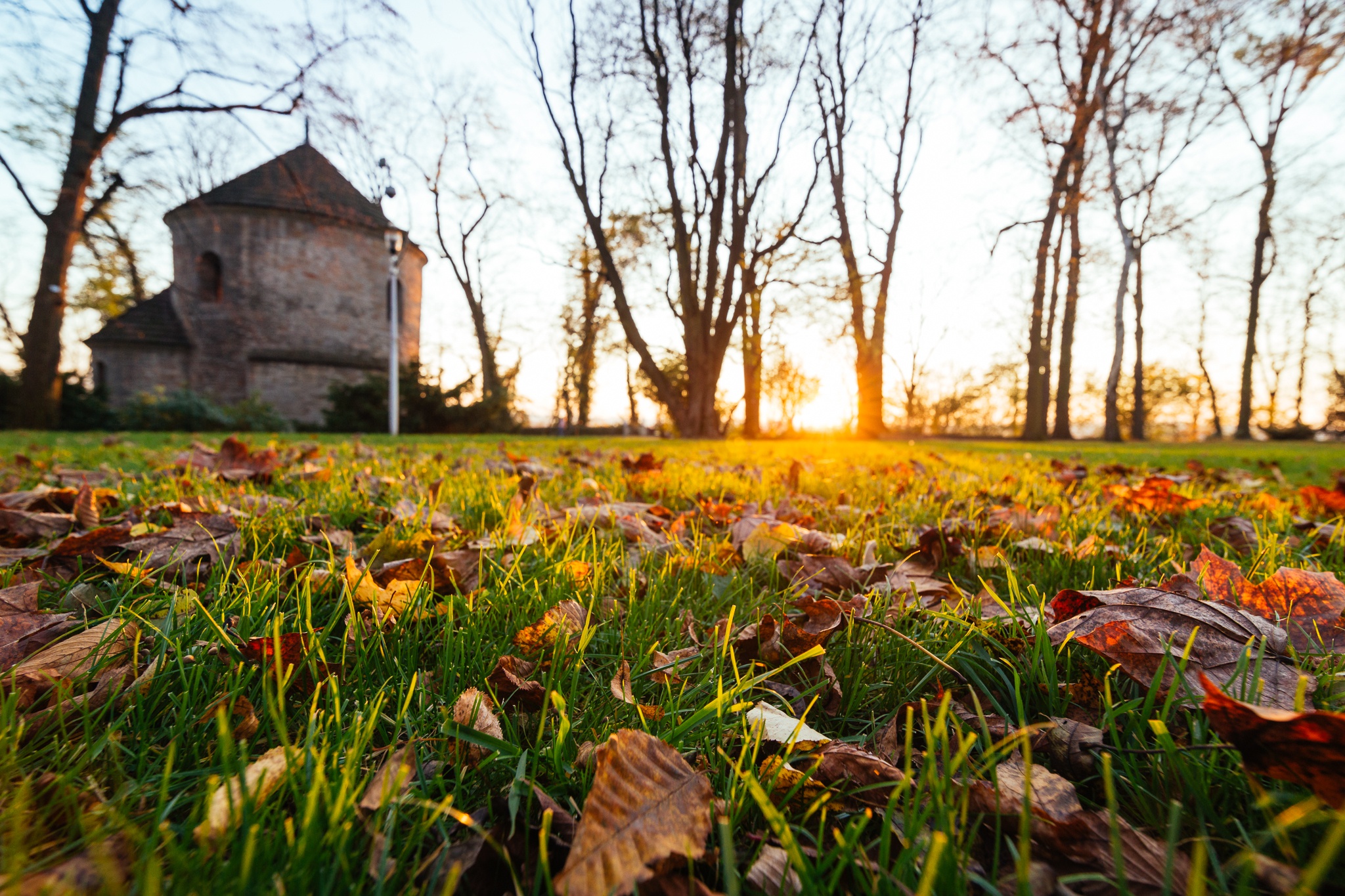 Widok na Rotundę św. Mikołaja z perspektywy trawnika na Wzgórzu Zamkowym, na trawniku leżą złote liście. Fot. R. Soliński