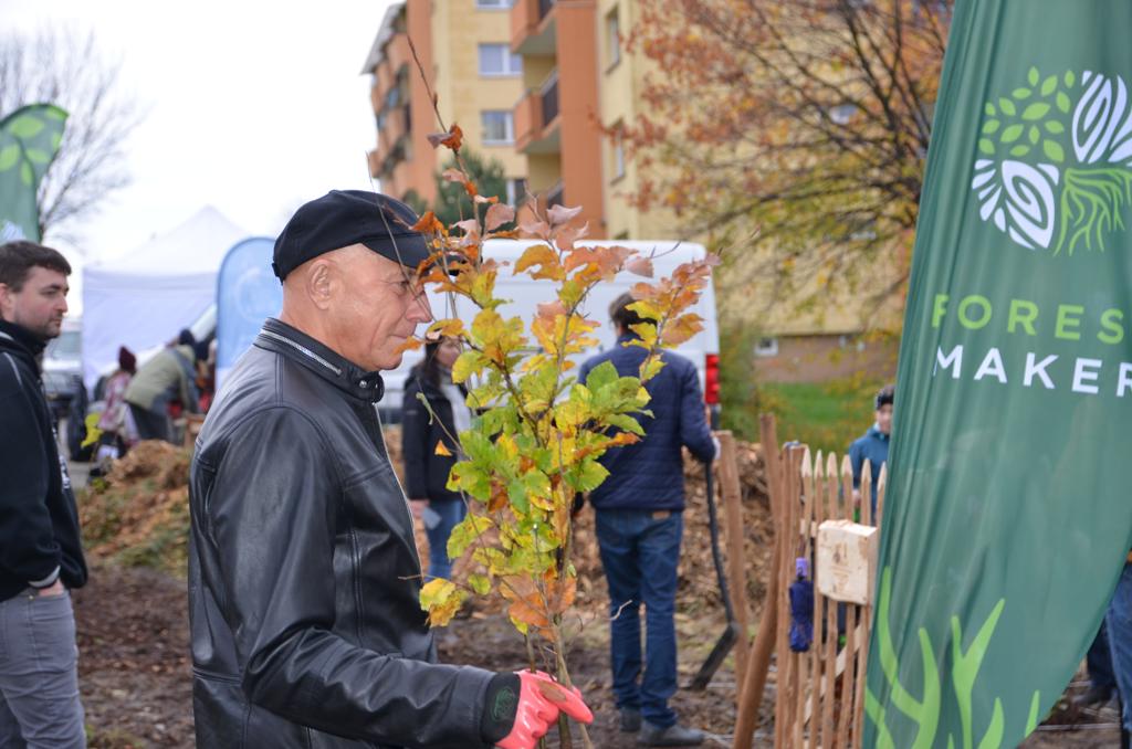 Sadzenie lasu kieszonkowego na osiedlu Podgórze