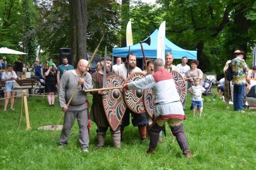 Zdjęcie z Dziewięćsił Festiwalu przedstawiające średniowiecznych wojów