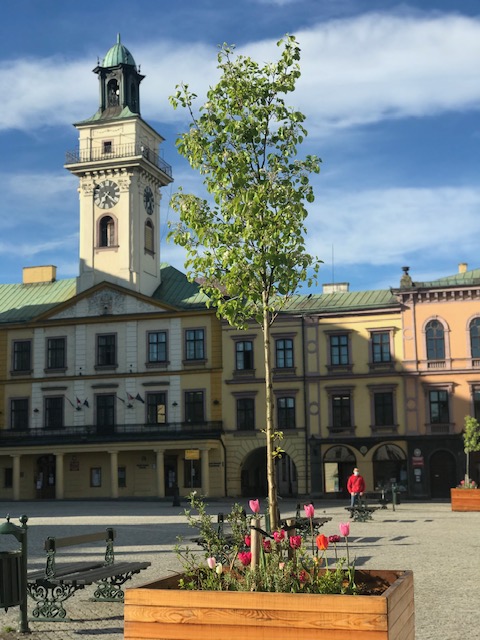 Zagłosuj na Rynek w Cieszynie fot. BSK