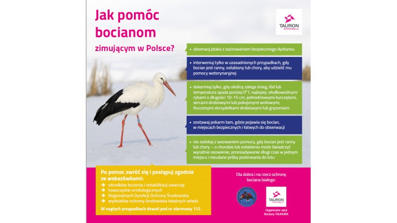 Infografika promująca akcję 