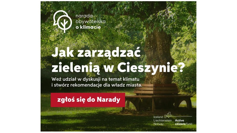 Grafika promująca Naradę Obywatelską o Klimacie, przedstawia dwie drewniane ławki stojące na trawniku pod dużym drzewem