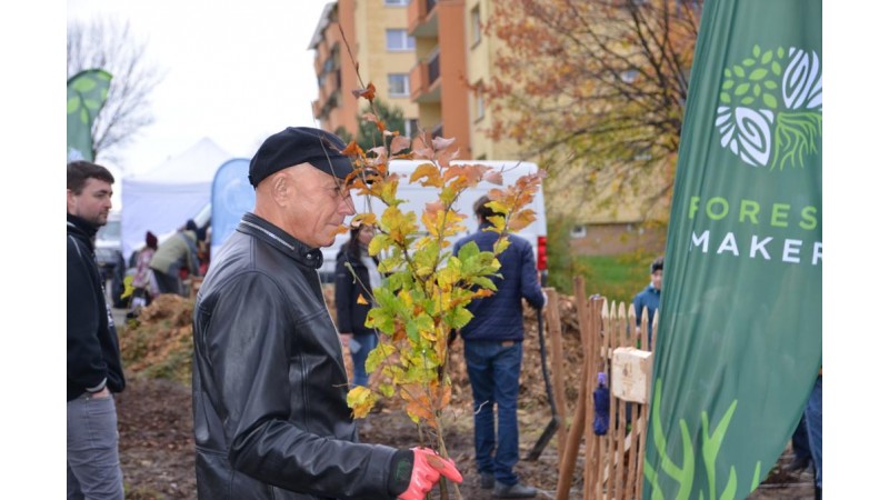 Sadzenie lasu kieszonkowego na osiedlu Podgórze