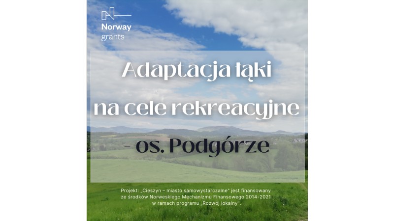 Łąka na os. Podgórze (grafika UM Cieszyn)