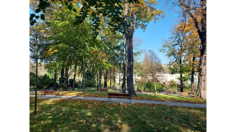 Park przy kościele św. Trójcy