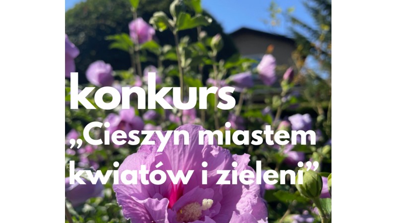 ogródek w Cieszynie