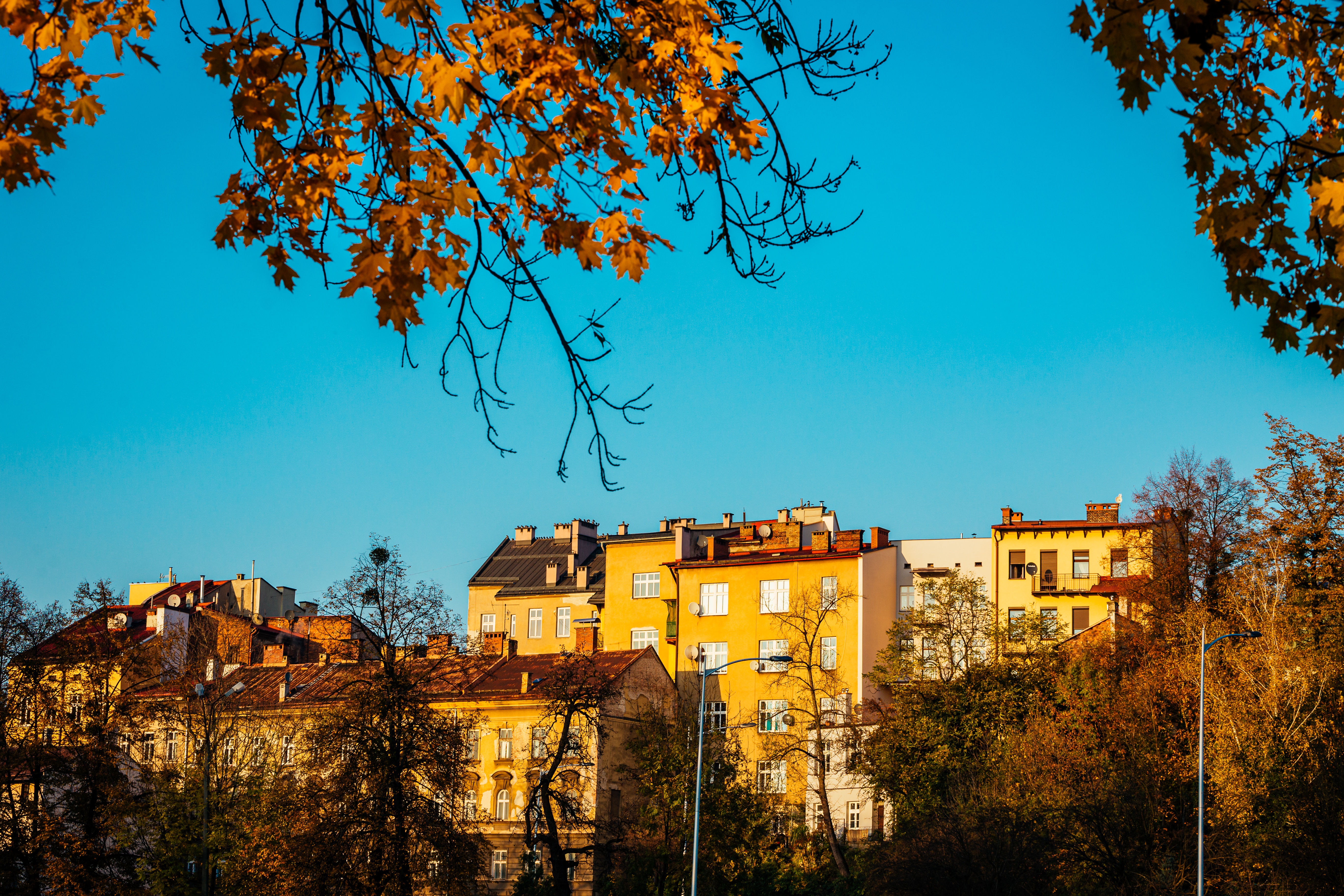 Obraz przedstawiający Cieszyn
