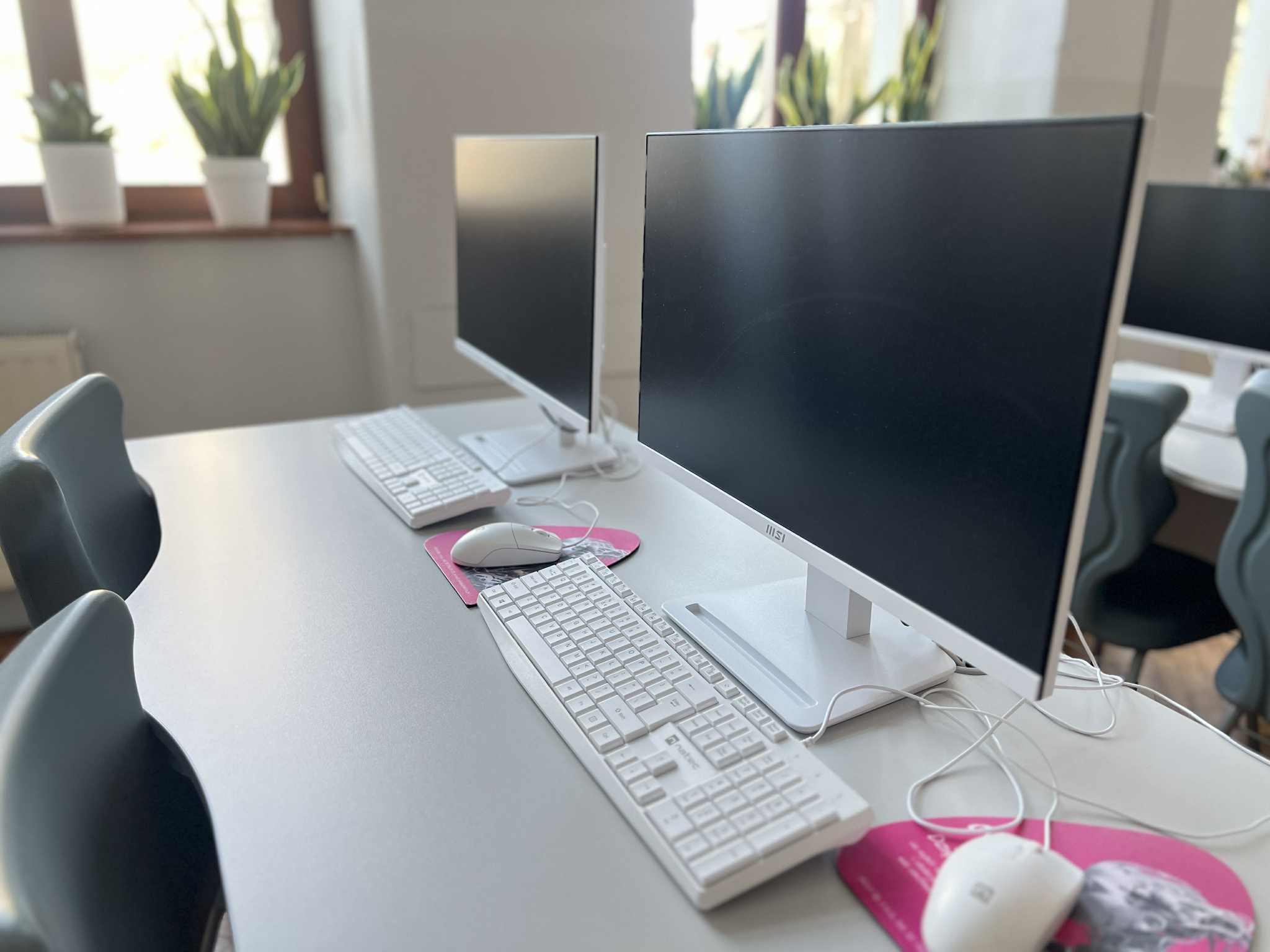 Rząd stanowisk komputerowych w jasnej sali: monitory, klawiatury i myszy ustawione na biurkach